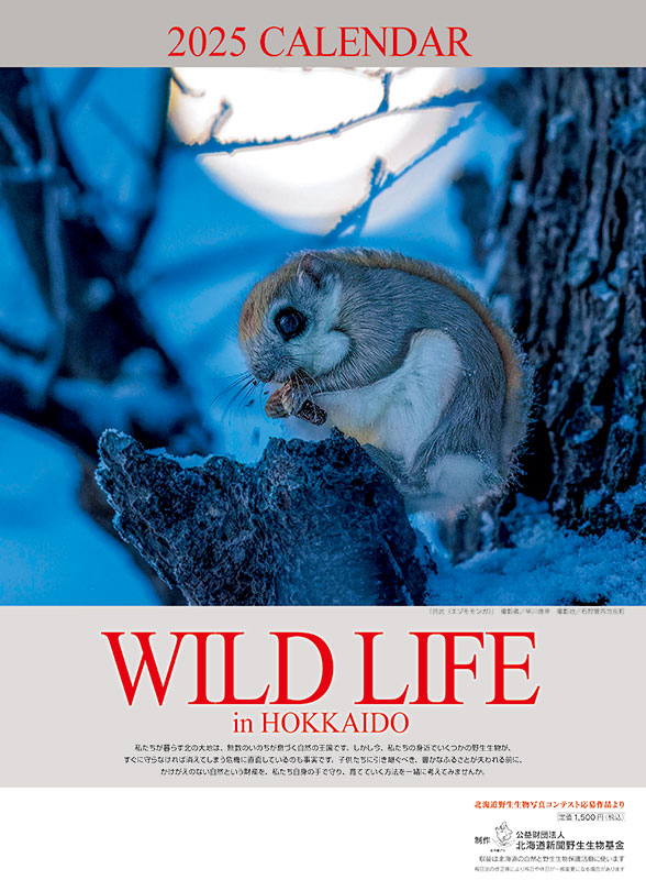 北海道新聞野生生物基金カレンダー