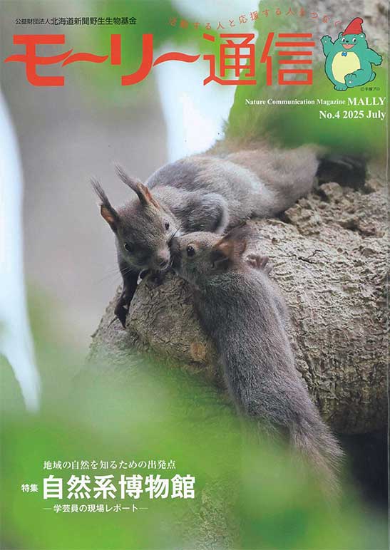 モーリー通信４号